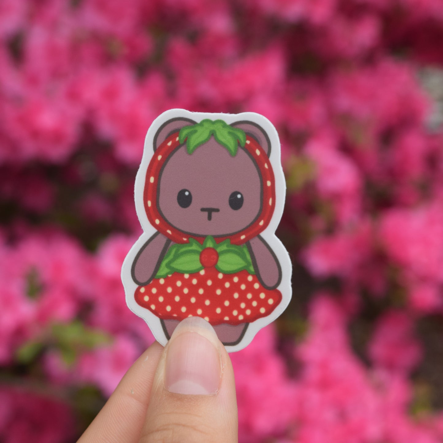 Brown Bear with a strawberry themed dress and hat