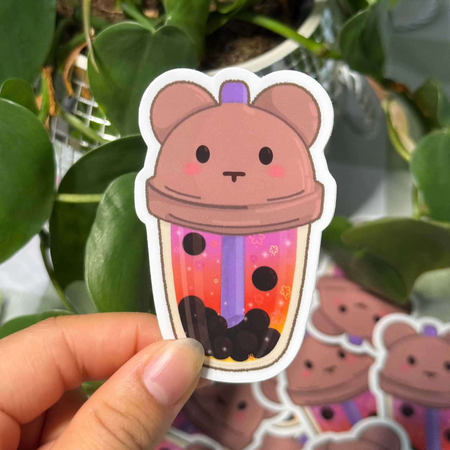 Bear Boba
