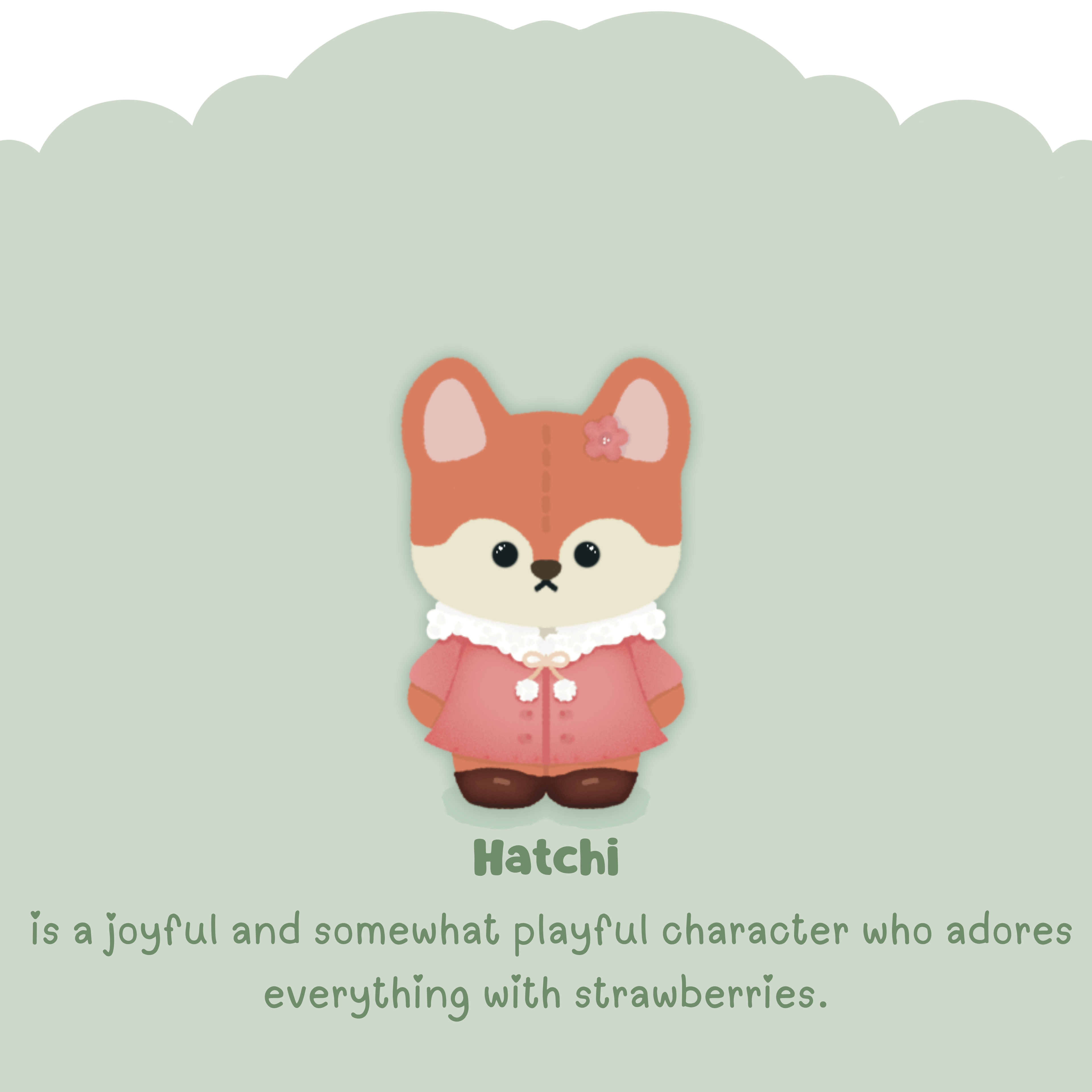 Shop Hatchi