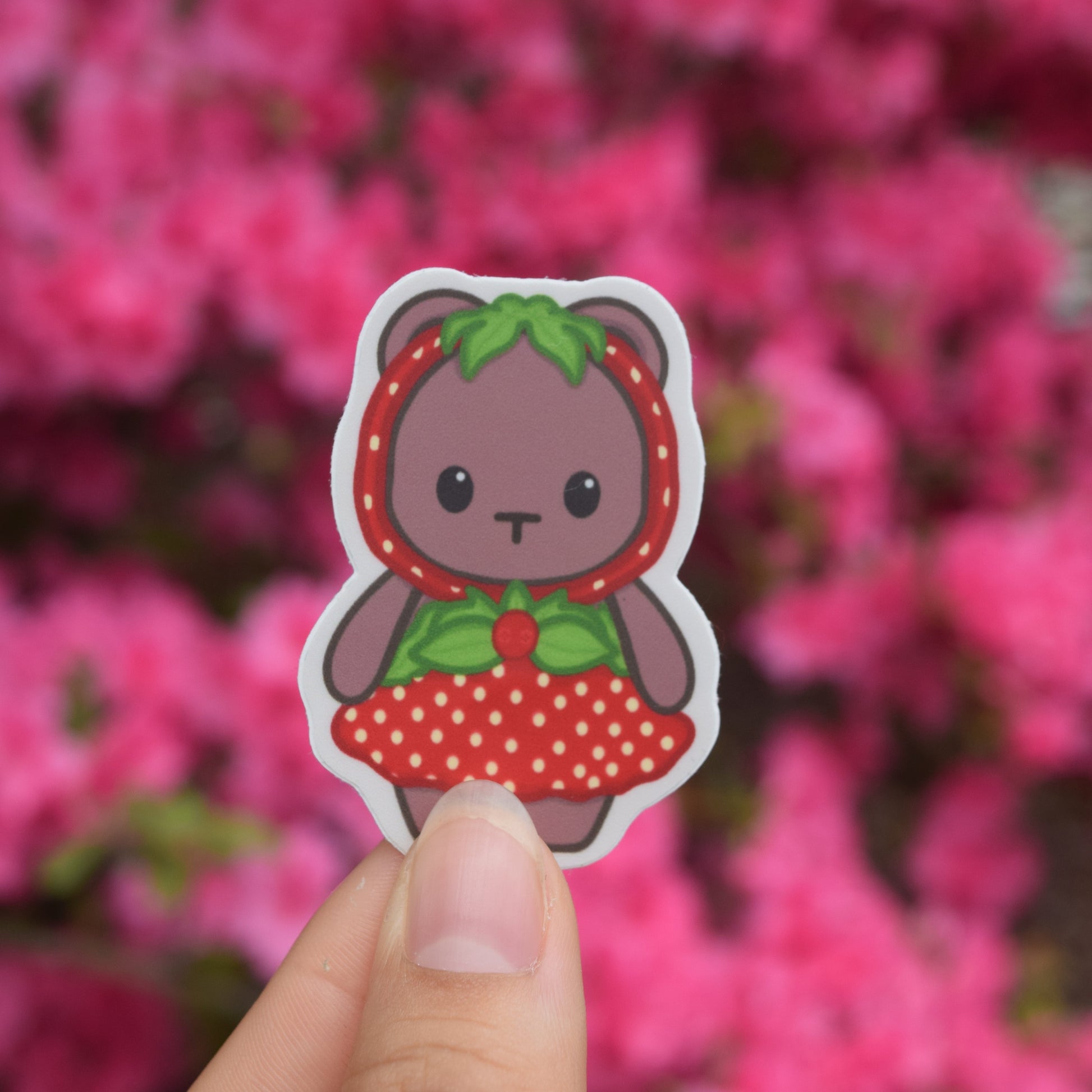 Brown Bear with a strawberry themed dress and hat